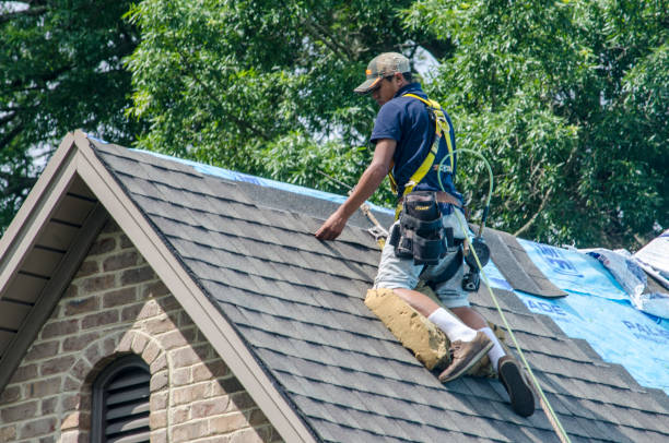 Best Roof Leak Repair  in Neuse Forest, NC